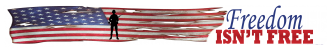 Freedom Isnt Free