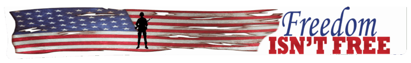 Freedom Isnt Free