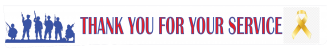 Thank you for your service when skirt graphics