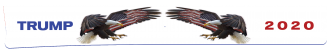 Eagles