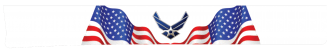Liverty With Air Force Symbol